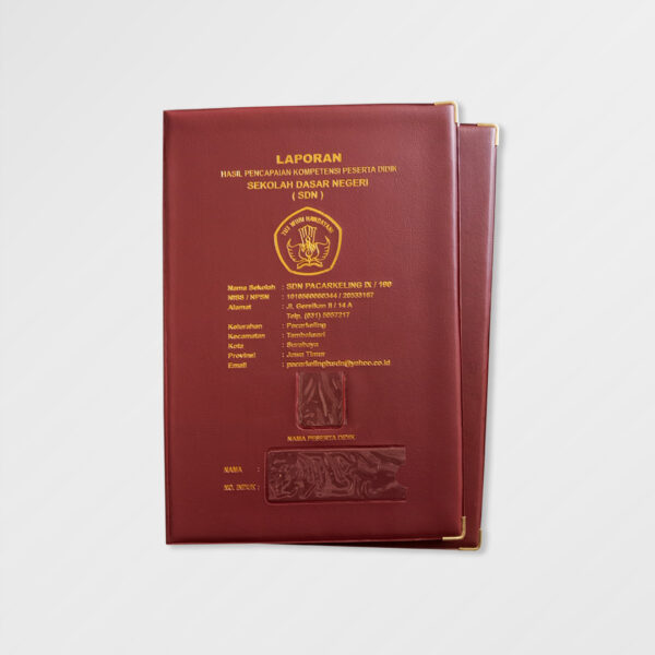MR 01165 Map Raport SD NEGERI PACARKELING XI