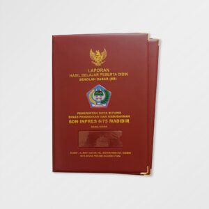 MR 01174 Map Raport SDN INPRES 675 MADIDIR